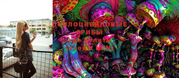 СК Горнозаводск