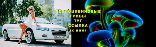 СК Горнозаводск