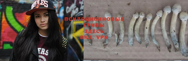 СК Горнозаводск