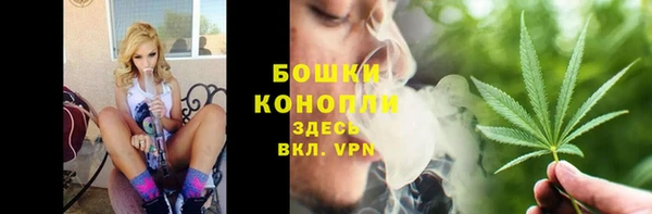 винт Горно-Алтайск