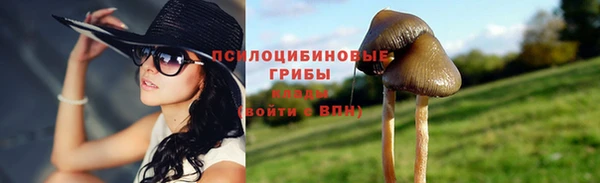 винт Горно-Алтайск