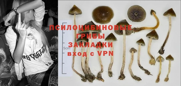 винт Горно-Алтайск